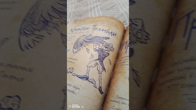 Обзор на дневник 3 гравити волз