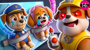 Щенячий патруль и Маршалл. Залипательное видео. Мультфильм для детей и малышей. Анимация 427