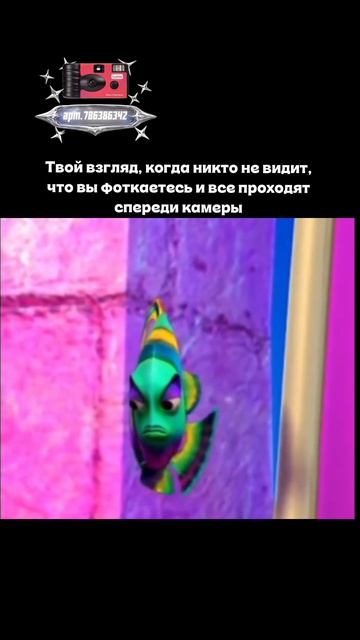 Плёночный фотоаппарат на 36 кадров (Артикул WB: #WW360391)💕