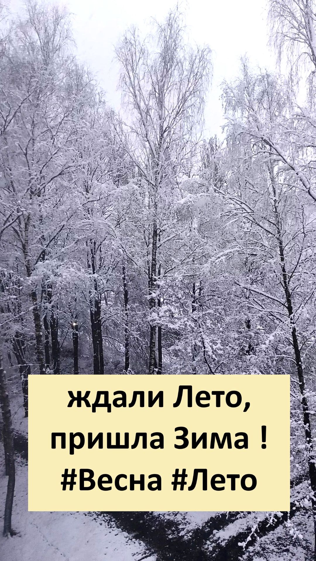 ждали Лето, пришла Зима ! #Весна #Снег #Апрель #Лето