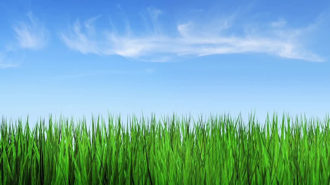 прохождение маена