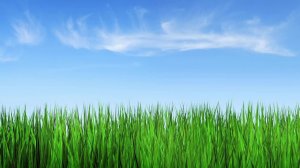 прохождение маена