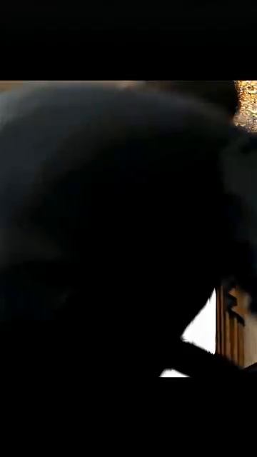 Стал стажёром лучшего адвоката #shorts #кино #момент