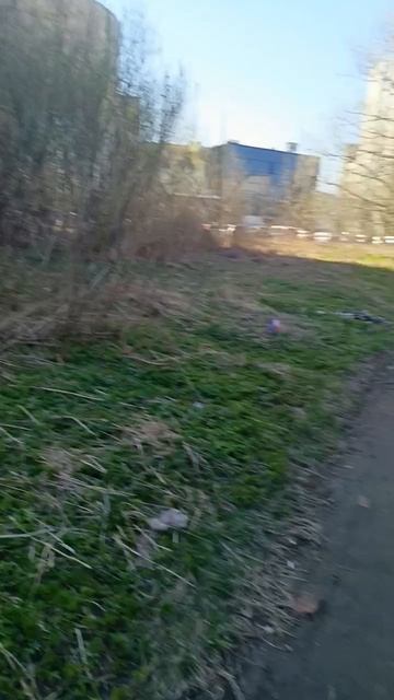 Весне дорогу!