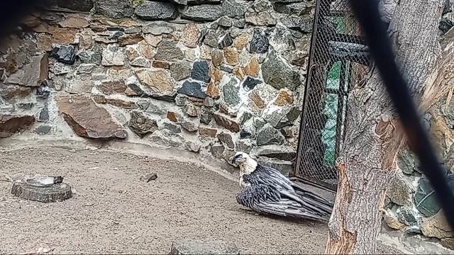 1000017166.mp4  Пикми- хейтерши на Дзене