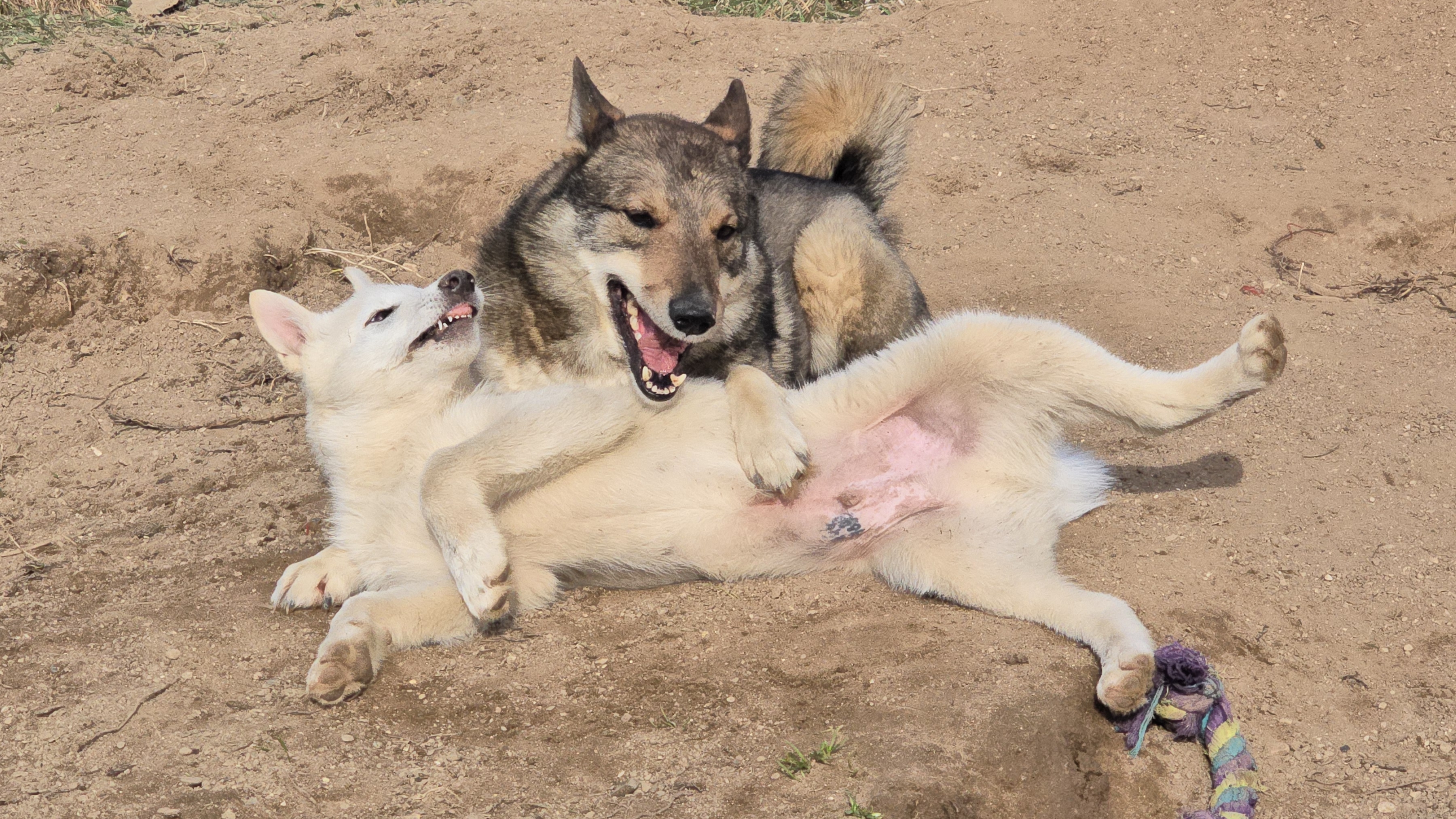 Все на песке