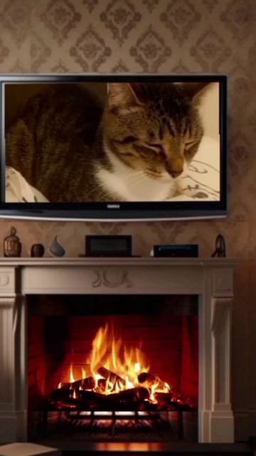 Лакушонок
дети#детскоерадио #детсво #сказки_на_ночь #сон #kleoss_zero #детишки #годиксыну #позновате