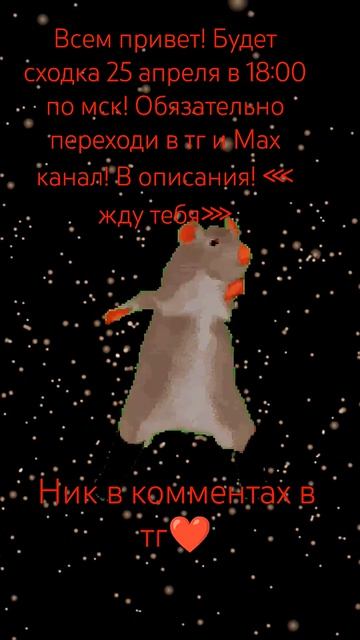 тг и Мах канал в описании