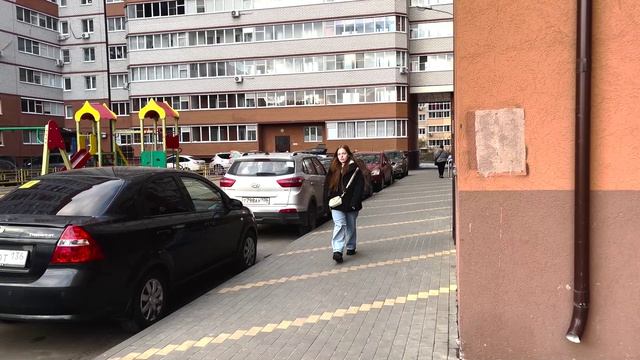 Интернет и голуби