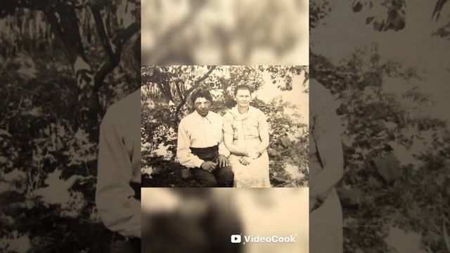 родное Лукошково