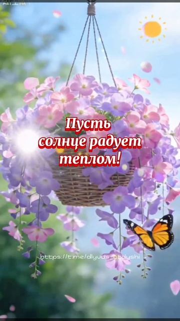 доброе утро