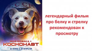 Моя собака – космонавт фильм 2026 года, стоит ли смотреть? рассказываю