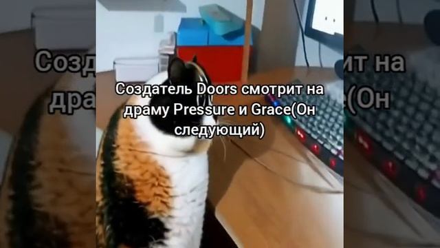 что происходит...