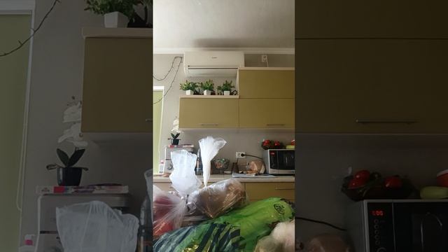 ЧО КУПИЛИ ✌️РАСПАКОВКА ✌️