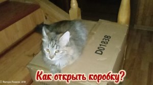 Как открыть коробку