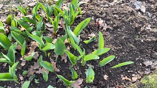 Совсем не жалею что рано приехала.