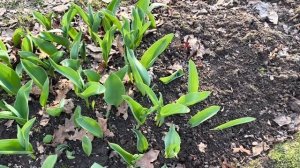 Совсем не жалею что рано приехала.