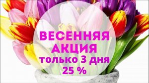 Весенняя акция: только 3 дня скидка 25%