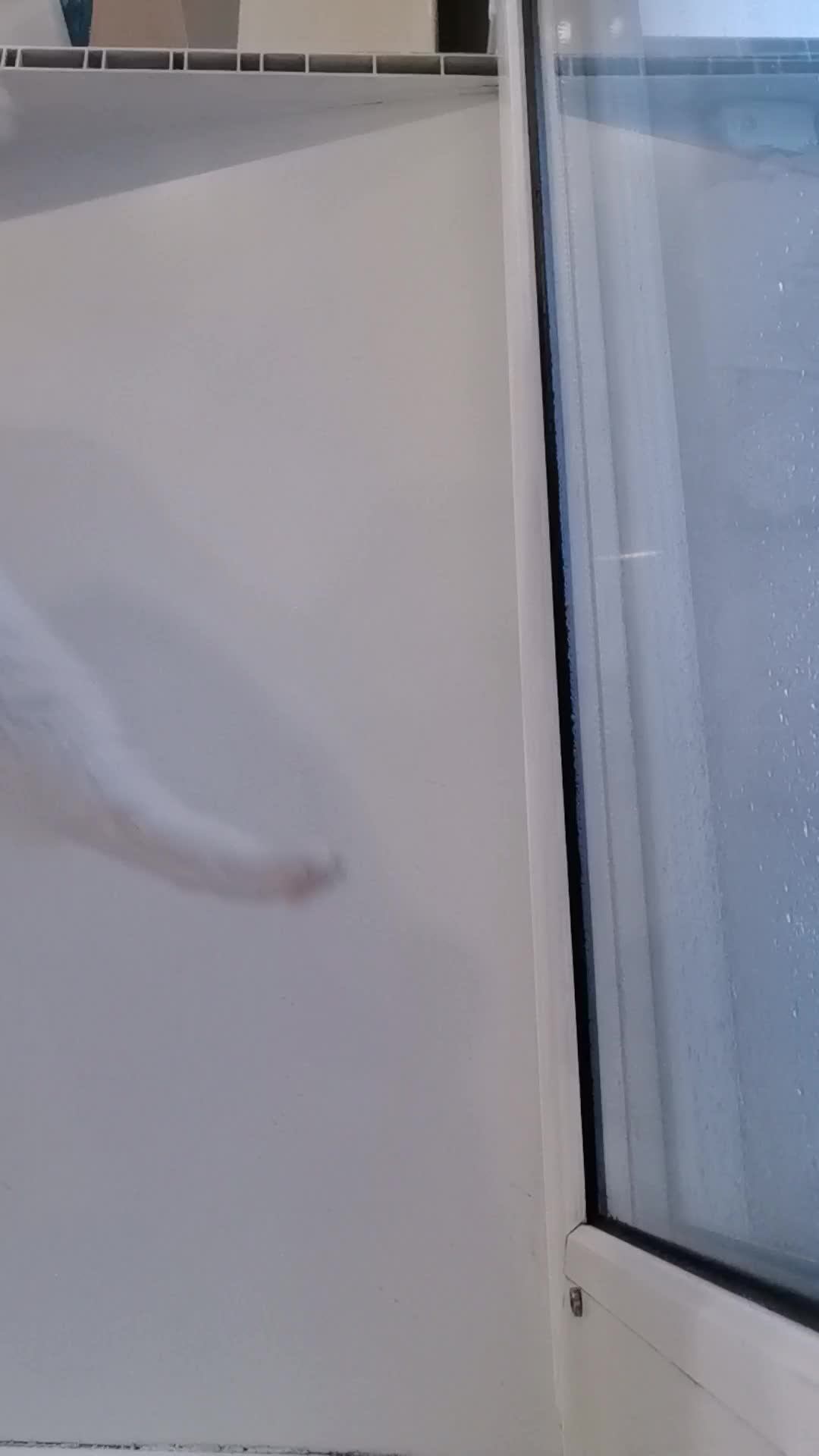 Урааа 300 подписчиков