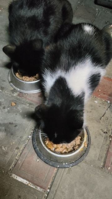 Меня ждут в любое время суток.