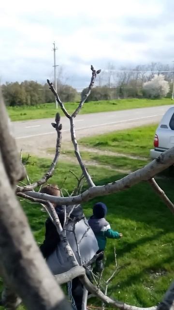 выживаем на дереве! 🫪🤫🌳