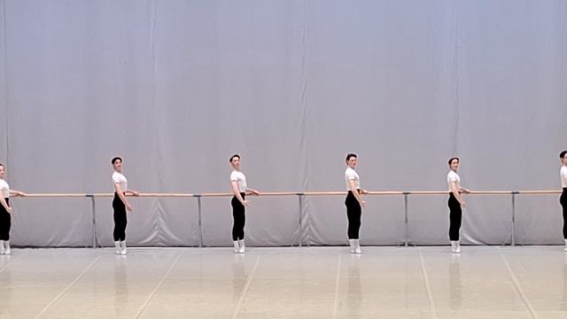 МГАХ. Госэкзамен по классическом танцу.  Юноши. Педагог  Д.Медведев. 20.04.26