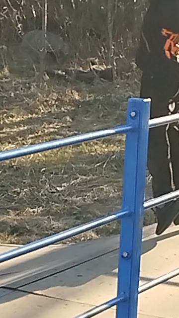 в скейт-парк