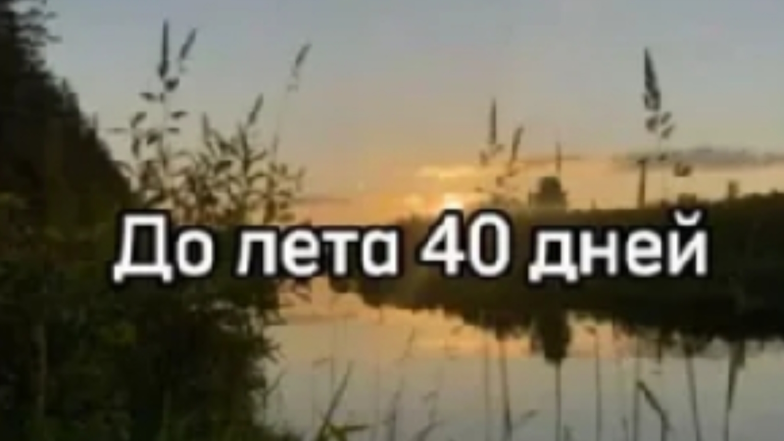До леты осталось 40 дней🥳