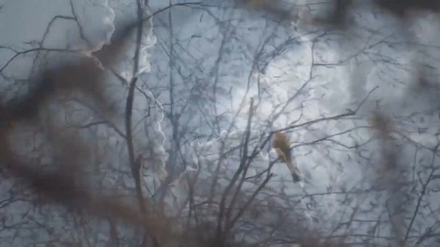 Как же красиво можно петь о любви!