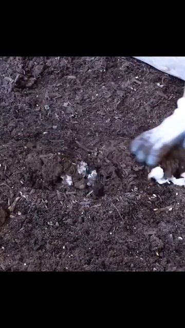 Дачные лайфхаки