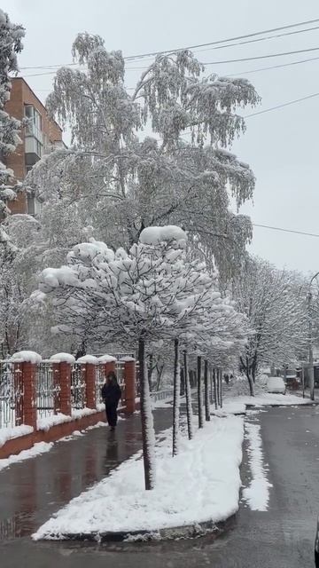 Снег в Рязани 21-04-2026