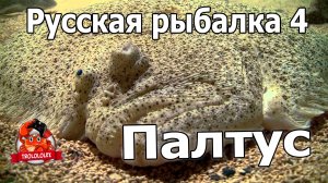 Русская рыбалка 4.Заработал 4500 серебра на Палтусе