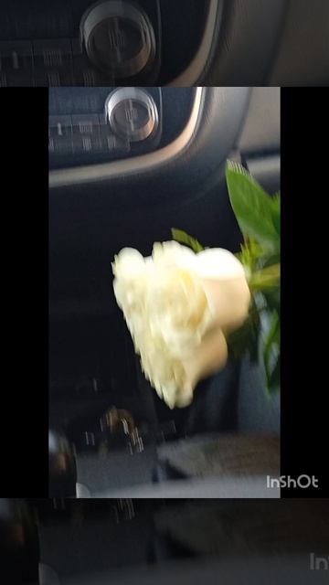 ездила на день рождение