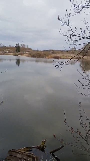 сегодня, сейчас, здесь.