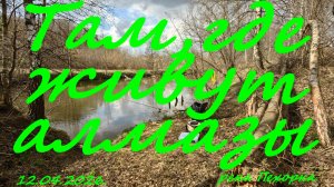 Там где живут алмазы. 12.04.2026. река Пехорка. пос. Красково. Рыбалка в Подмосковье.