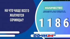 На что чаще всего жалуются сочинцы?