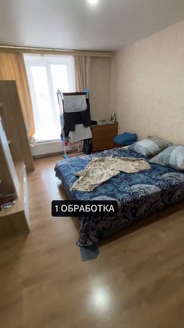 30 минут работы и 7500 ₽ | Почему клопы — это хорошие деньги | #shorts