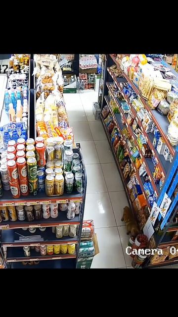 Магазинный воришка