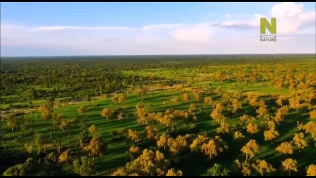 Copy_6BA80DF0-1183-487A-9F5C-22BFE8FC2DE7