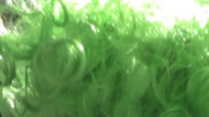 167)Ц ЁЛКА В ШКОЛЕ 1В