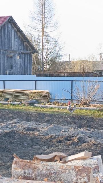 Петька тренер.