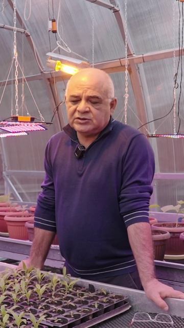 О посеве редиса и пряно-вкусовых культур 🌿Вопросы агроному: часть 4