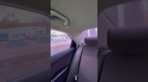 Идеальный Церато