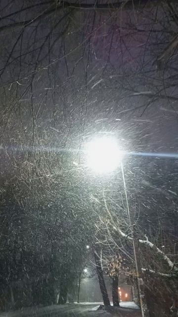 E90f9c17-bd36-4c97-86f6-1e67b5b47a3a-1_all_2325.mp4