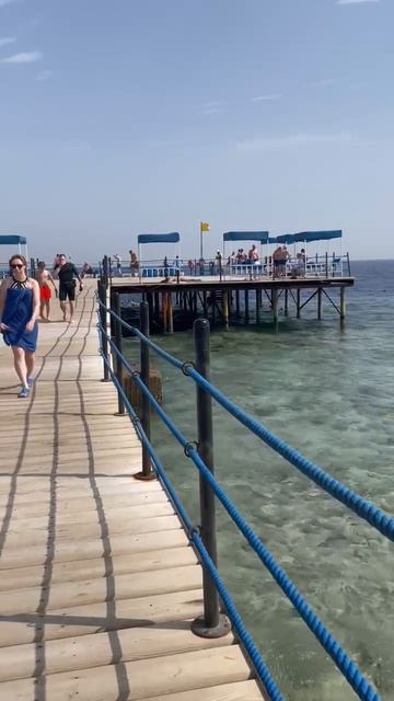 Albatros Makadi обзор пляжа