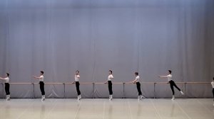 МГАХ. Госэкзамен по классическом танцу.  Юноши. Педагог  Д.Медведев. 20.04.26 (3)
