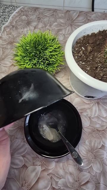 Азиатская маска от морщин вокруг глаз