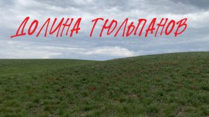 Выезд в Долину Тюльпанов. По следам Красной Книги.