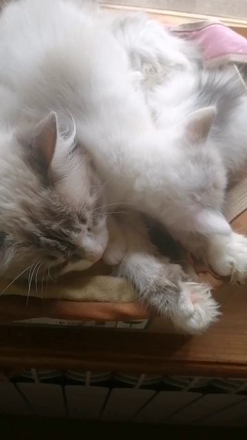 Кто ищет-тот всегда найдет!