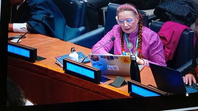 Валентина Совкина на Форуме ООН 20.04.26